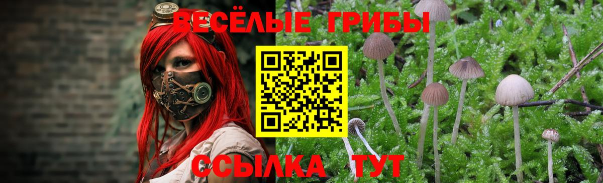 Галлюциногенные грибы MAGIC MUSHROOMS  Вход с VPN  Орёл 