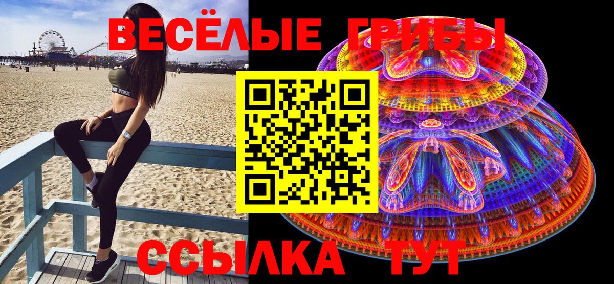 Псилоцибиновые грибы Psilocybine cubensis Орёл